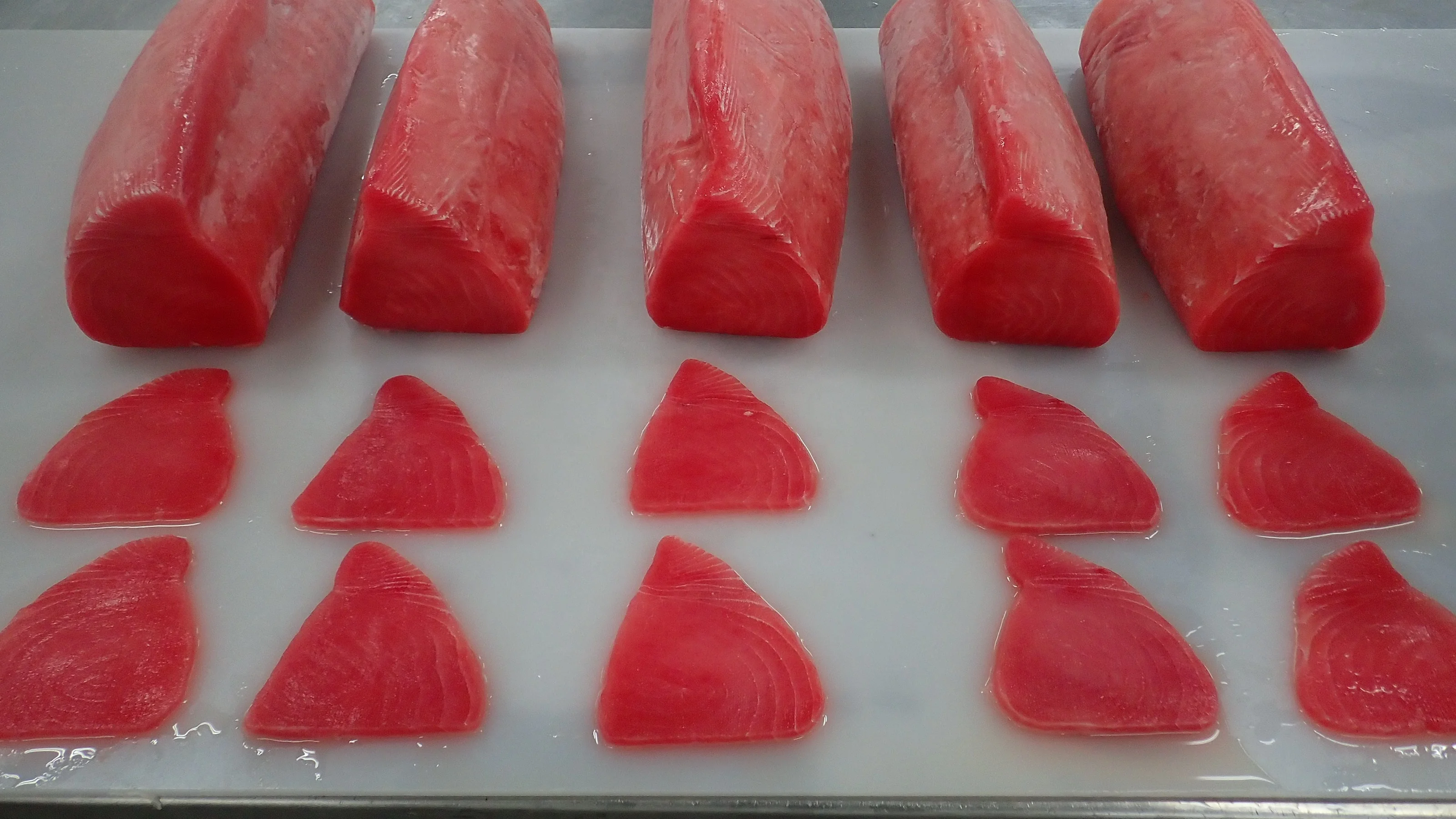 Top Grade Quality Seafood  Frozen Yellowfin Tuna Medallions With 18 Months Shelf Life From Singapore