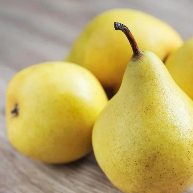 High-quality and low-cost export to China 2022 fresh pears