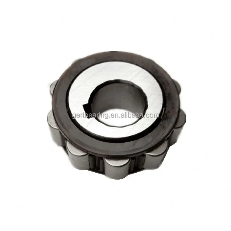 NTN RN204M Eccentric bearing RN204M Eccentric Roller Bearing