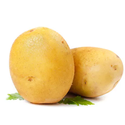 
Hot Selling Vegetable Fresh Potato new crop high quality low price 