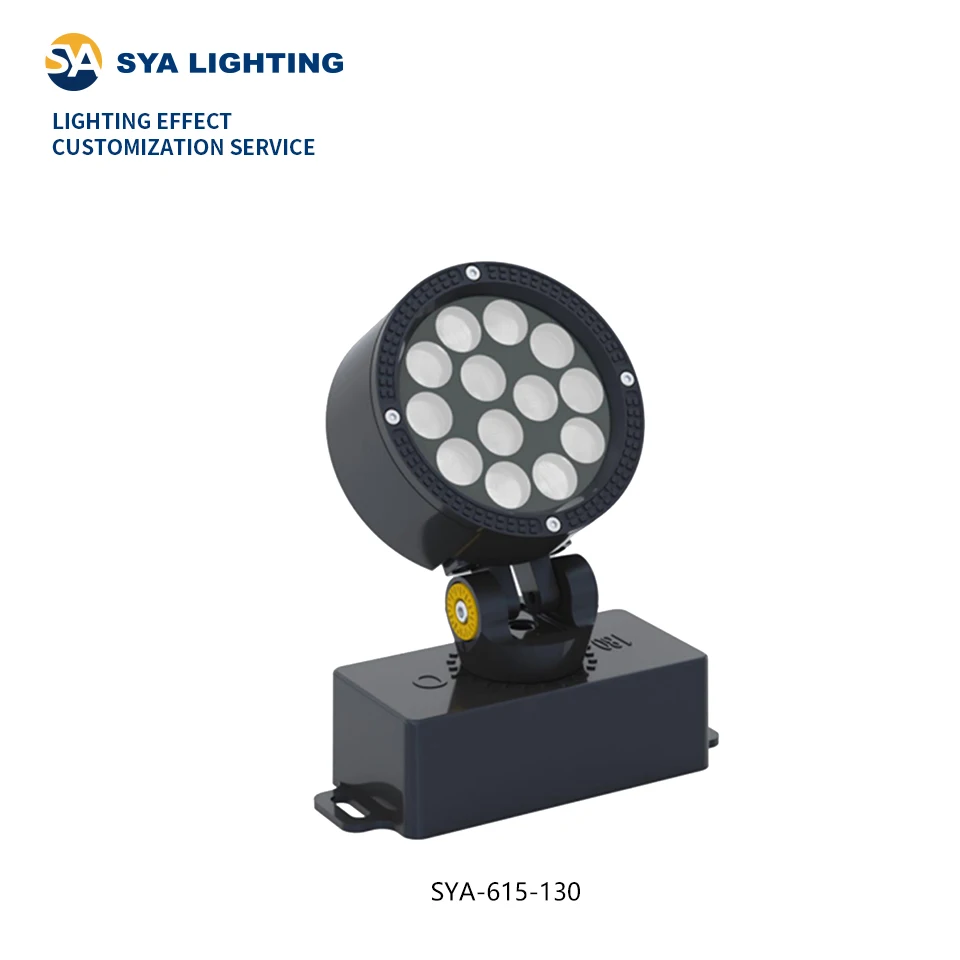 SYA-615 заводской Индивидуальный Светодиодный прожектор 12 Вт 24 Вт DMX512 DC24V