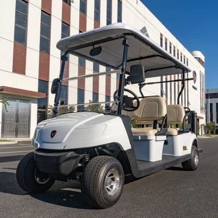 LEROAD New Arrival Shuttle Bus 4+2 Seat Electric Golf Cart