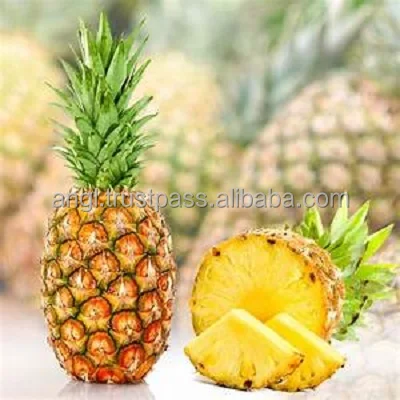 
Fresh pineapple from Vietnam with best price_Vikafoods (+84983028718) 