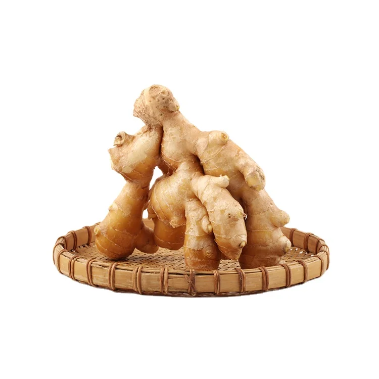 Sinofarm brand dried bulk fresh ginger market price per ton wholesale from China for thailand ginger dry buyer dried