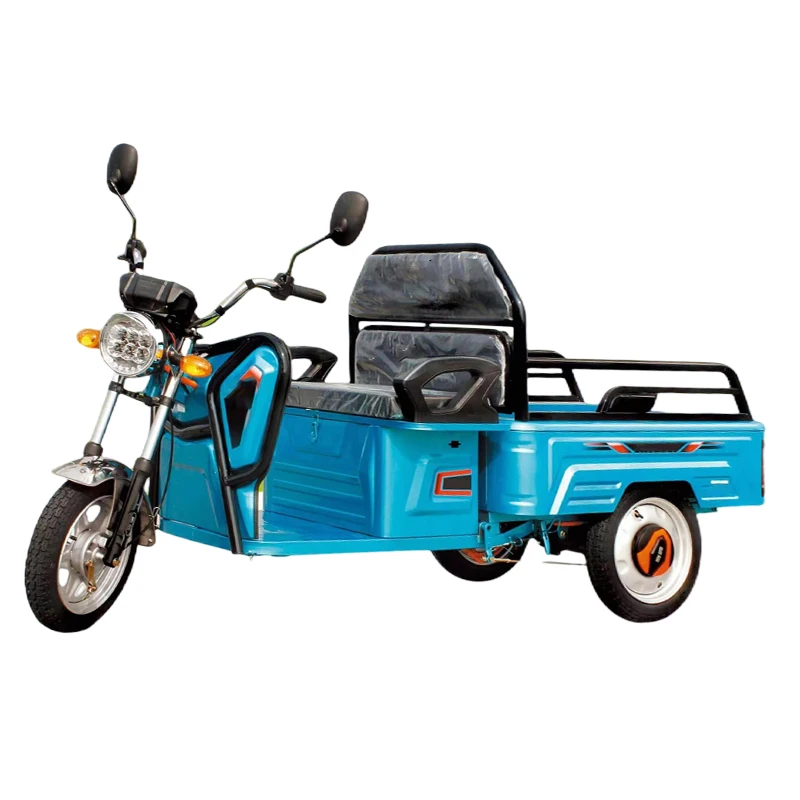 eec certification and overseas warehouse adult 3 wheel electric tricycle cargo 1600w 60V20/32Ah Lead-acid battery adult eec