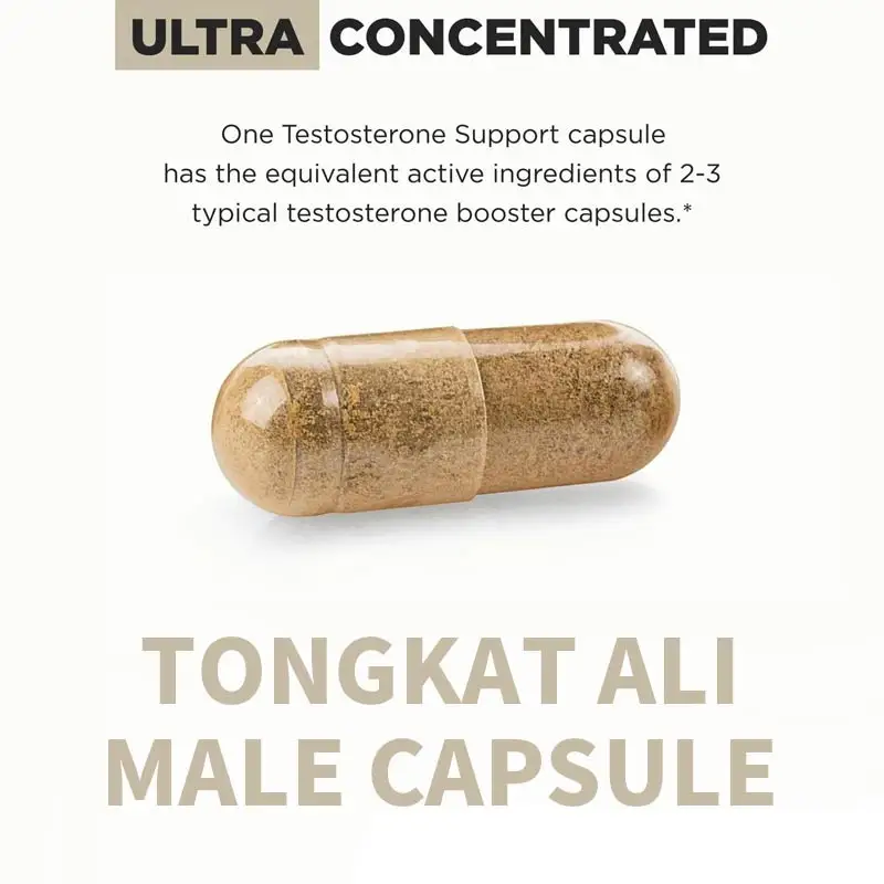 Support Factory Inspection OEM ODM 2024 Hot Product Energy Enhancement Tongkat Ali Male Capsule