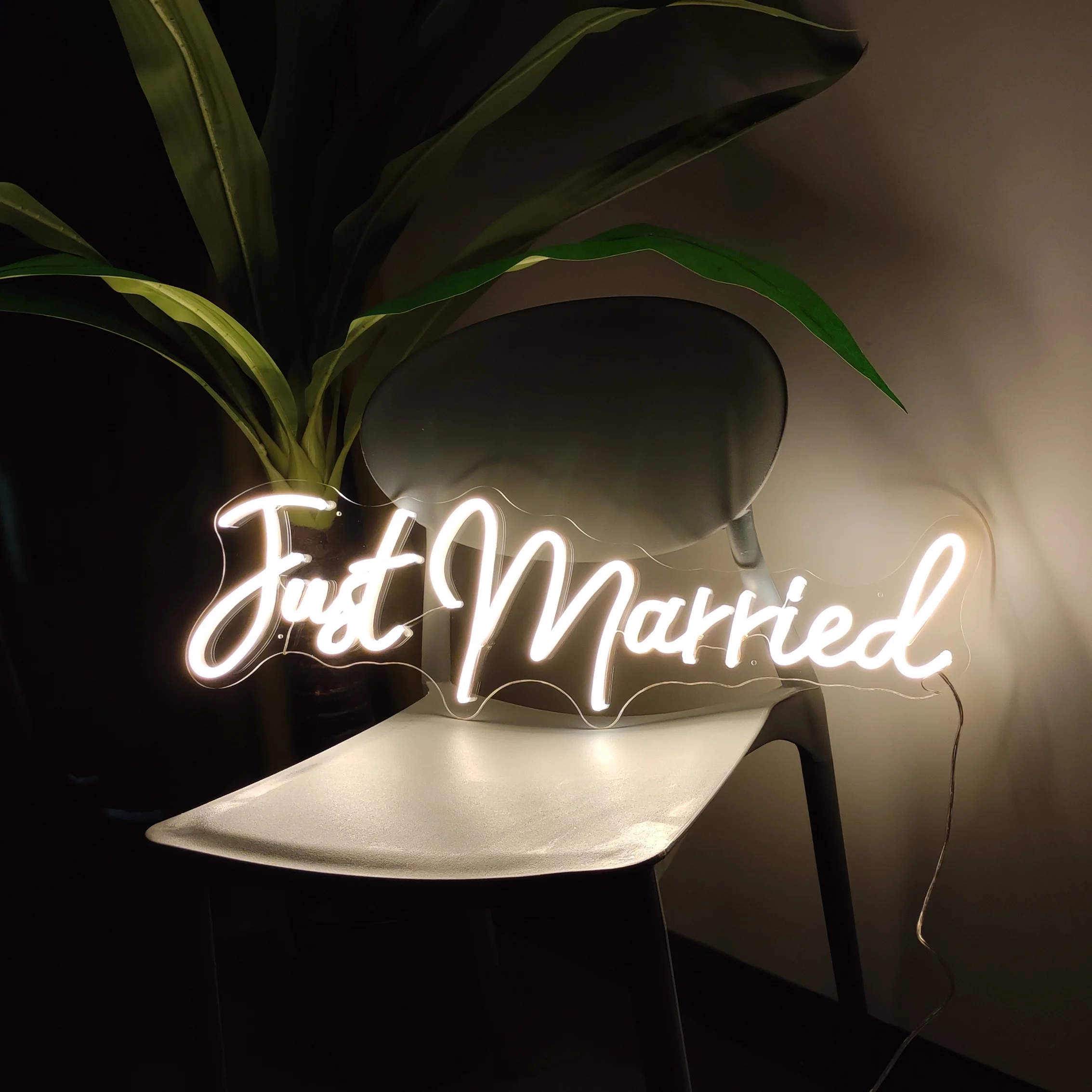 Just Married Sign Wedding Welcome Sign Display Custom Advertisement Neon Sign For Event Decoration