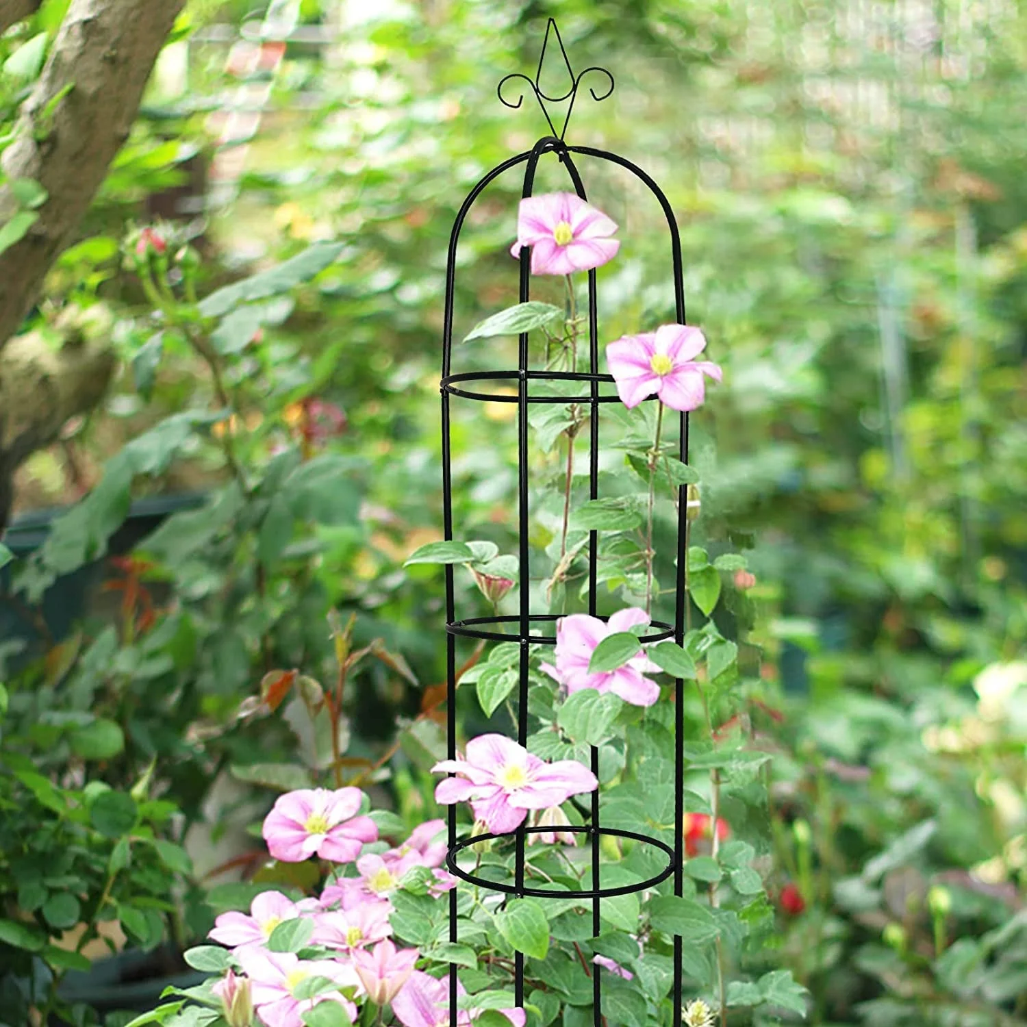 Assembled Metal Garden Obelisk Trellis Tower for Plant Support Ranksaule 192cm X 40cm