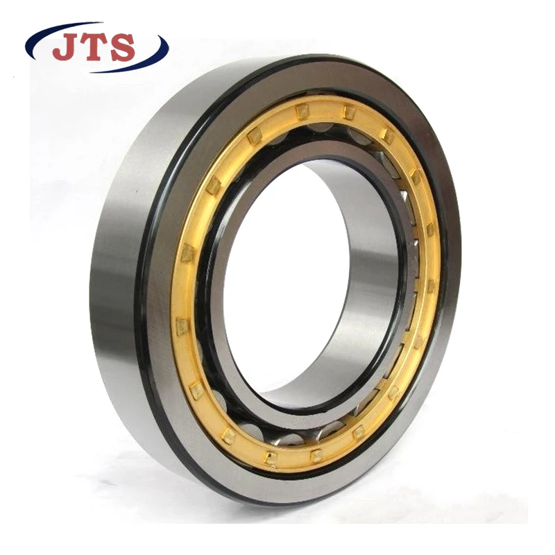 RN 204 Single row cylindrical roller bearings without outer ring RN204 20x40x14mm