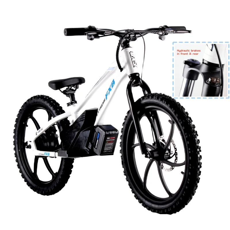 Hot Sell 20inch Lithium Battery 5.0ah 600W Electric balance bike FXB Style kids bike electric motorcycle