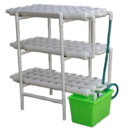 Home Indoor Hydroponic Growing of Vegetables