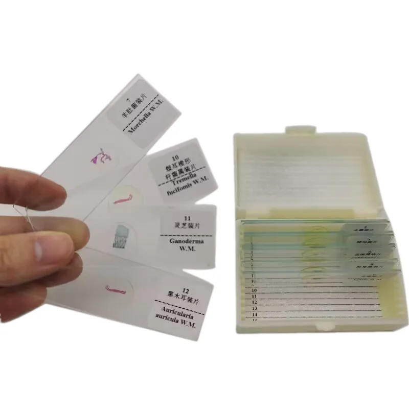 School Supplies 12PCS Set Fungi Prepared Slides Teaching Microbiology Prepared Slides