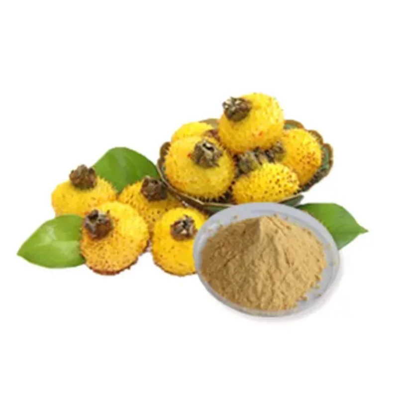 Natrual Rosa Roxburghii Extract Powder Roxburgh Rose Powder Rosa Roxburghii Tratt Powder