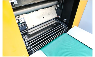 multi function Avocado Fruit packing machine