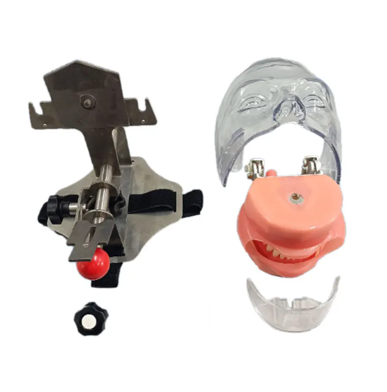 Dental simulation simple head unit ,dental phantom head