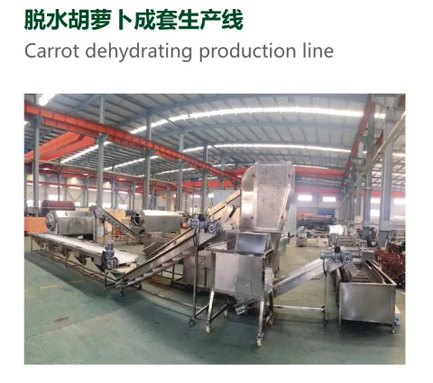 carrot dry production line
