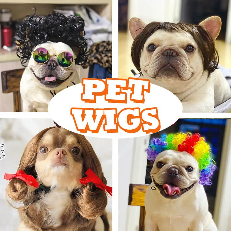 Factory wholesale Pet Wigs Cosplay Props Cos Funny Cross-dressing Head Accessories Dogs Cats Hair Hat