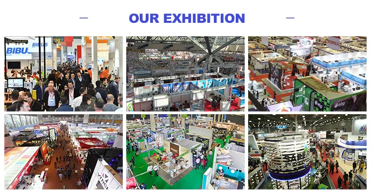 yzxw Top Selling Manufacturer Best Bulk Cat Food  Highly Nutrient for Adult Cats cat food