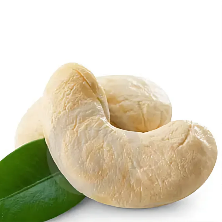 The cheapest price cashew-nut raw material cashew nut kernels w240 w320 w450