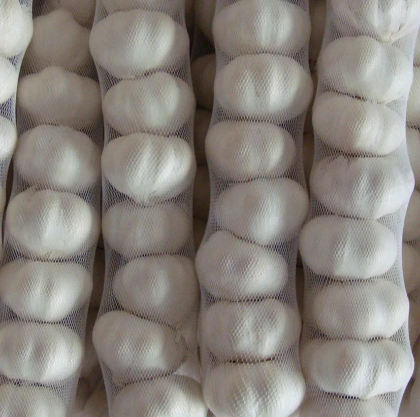 new 2023 fresh  garlic