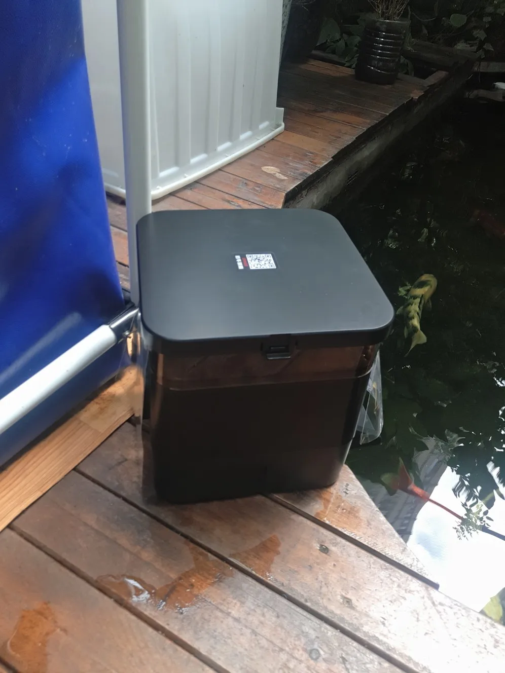 
china Manufacturer automatic food feeder New Listing fish feeder pond automatic 