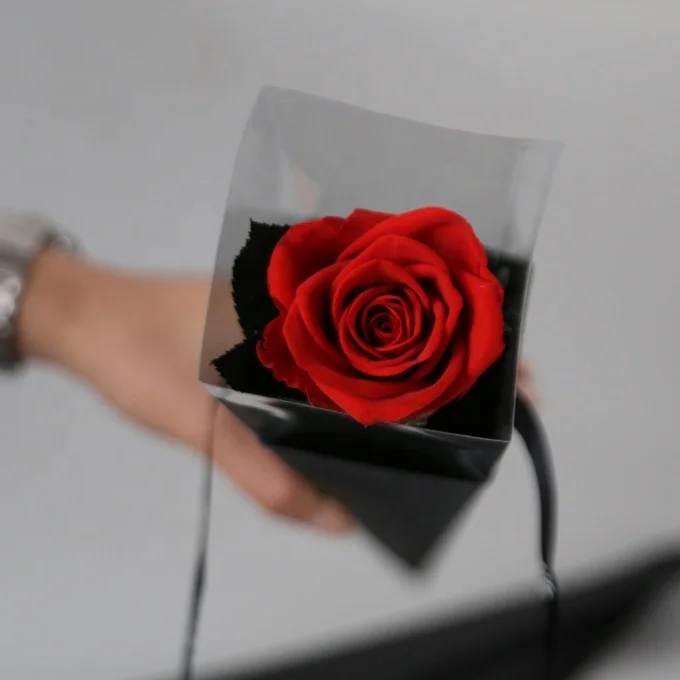 
single natural real preserved rose with stems in black gift boxes for valentine day 
