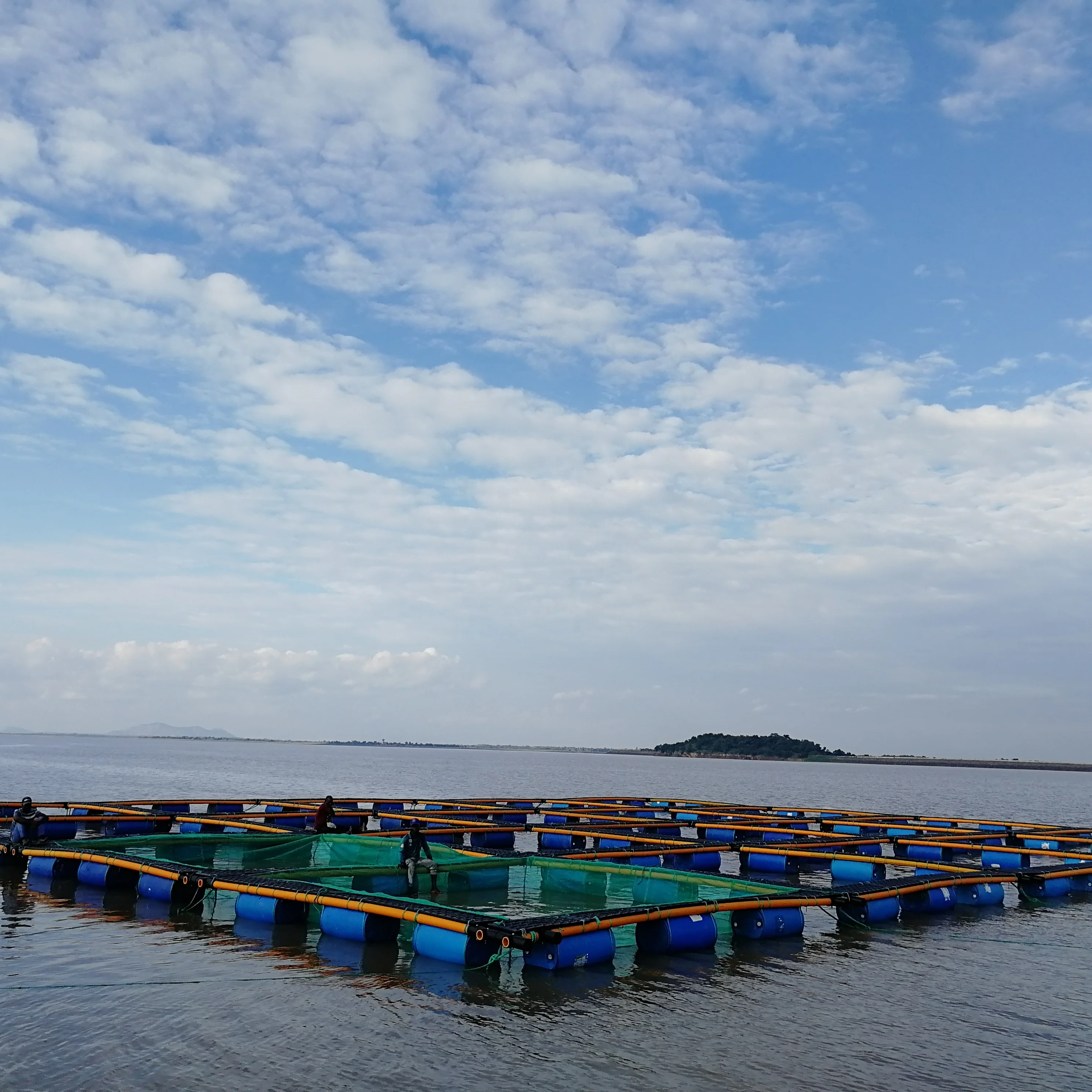 High quality hdpe fishing farming cage for aquaculture trap
