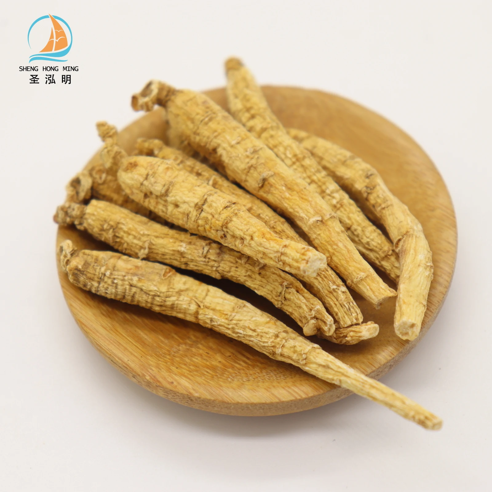 Wholesale Pure Natural Fresh American Ginseng panax quinquefolius with good price