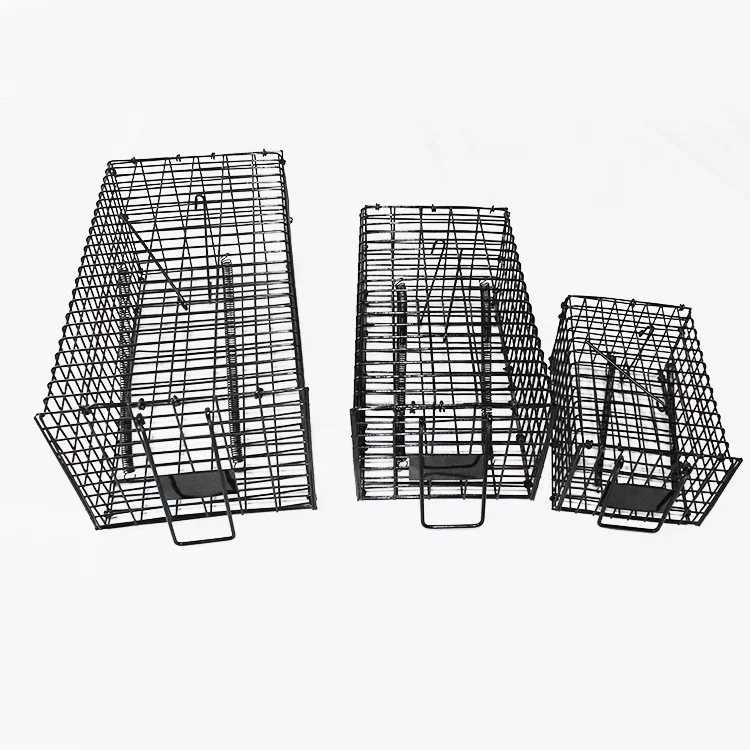Trap Animal Hunting Equipment Animal Trap Laboratory Rat Cages Bird Trap Cage