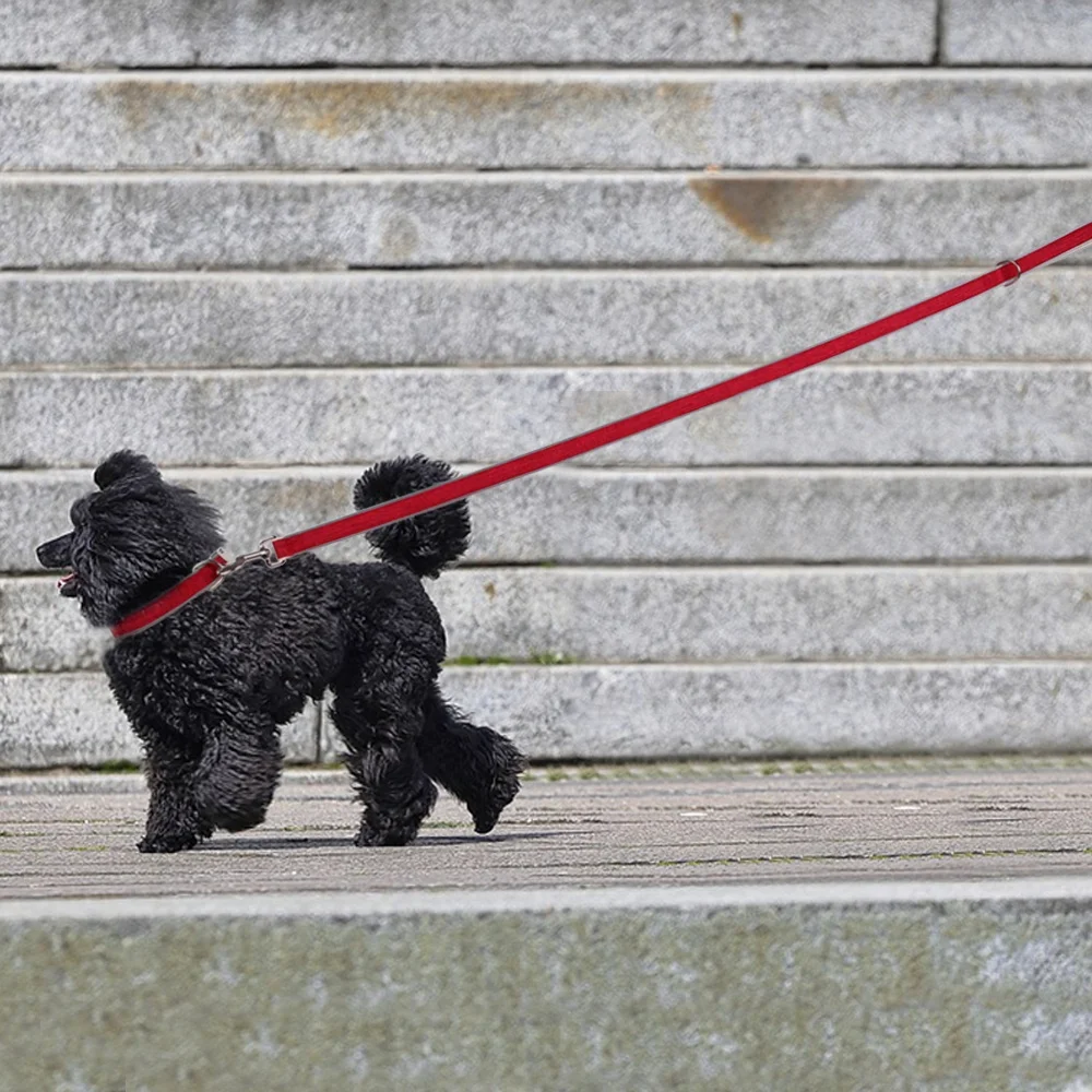 Factory Hot Sales Eco-Friendly Hemp Dog Leash Night Safety Reflector Strip Pure Cotton Pet Dog Leash