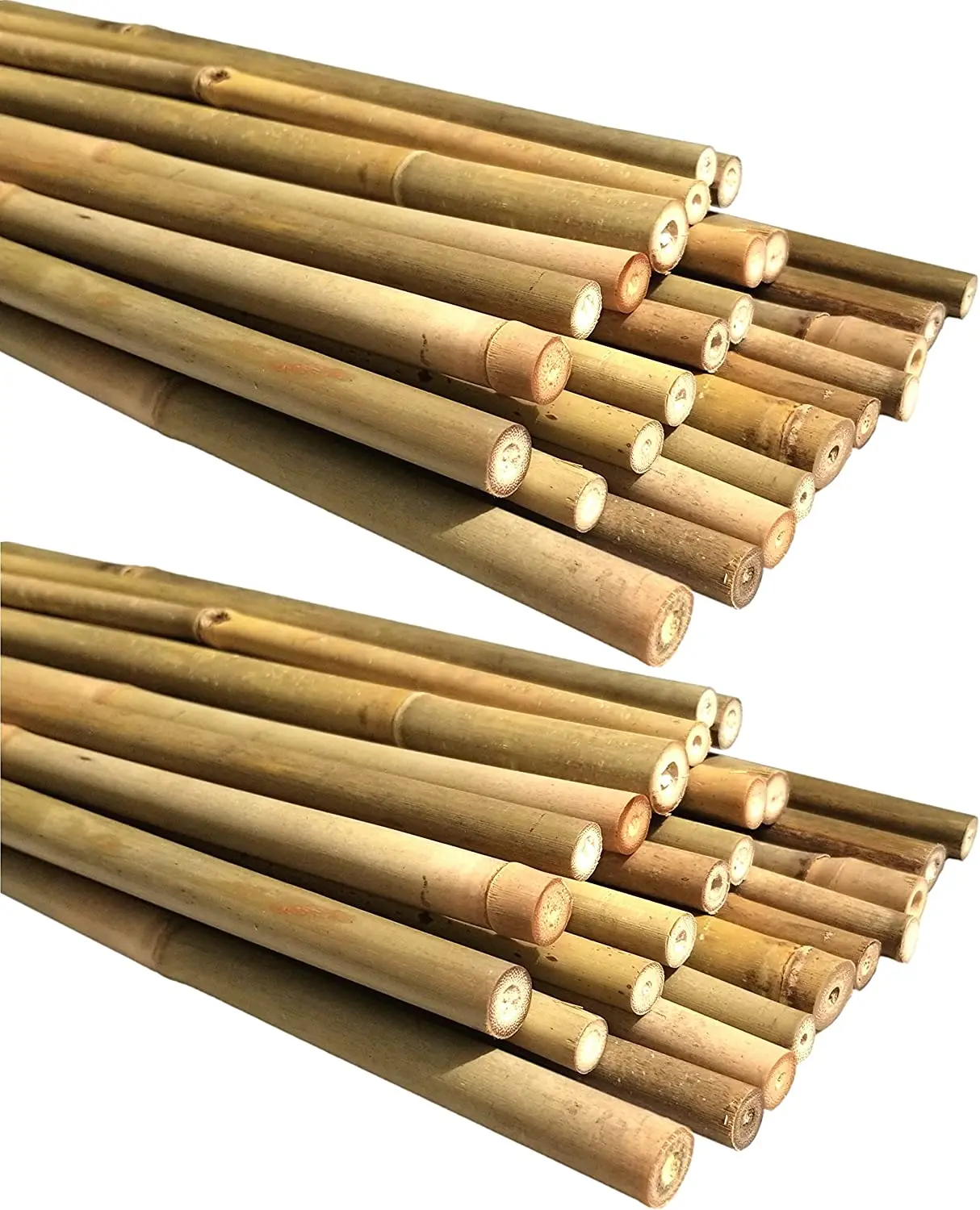 Wholesale Nature Raw Tonkin Yellow Bamboo Pole Cane Material For Decorative And Plants Grow Support
