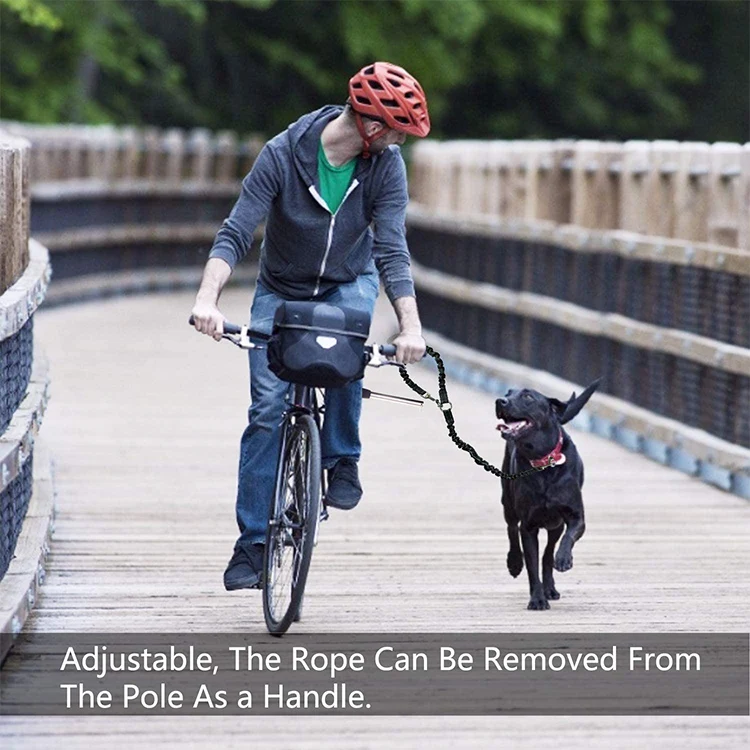 
wholesale cheap price retractable fashion bicycle dog leash bungee hands free dog leash dog bike leash 