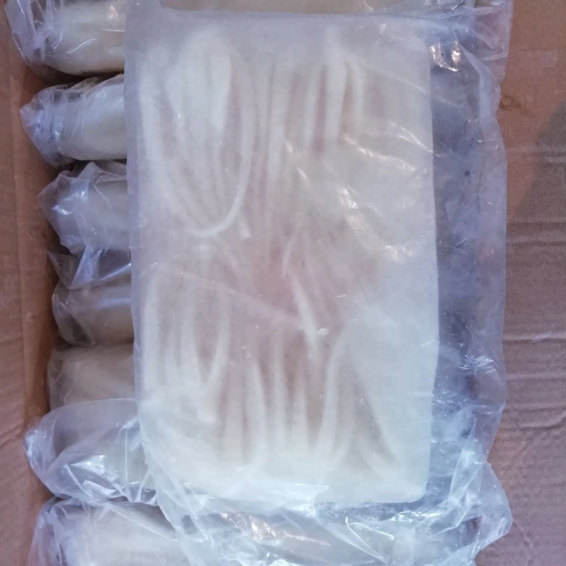 Frozen giant indian ocean squid head tentacles skinless