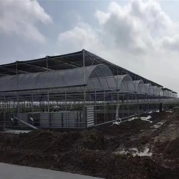 Agriculture Greenhouse Frame Multispan Vegetables Growing Tunnel Multi Span Film Greenhouse