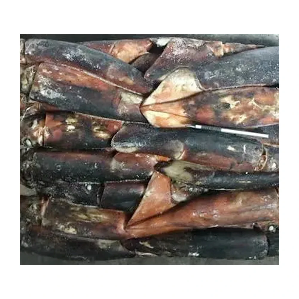 High quality gigas squid frozen white squid 22cm 12cm illex squid price