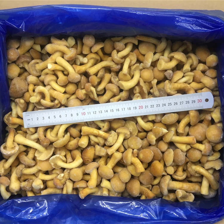 Низкая цена оптовая продажа быстрозамороженные высококачественные грибы nameko