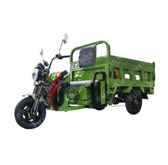 Electric cargo Tricycle with Open Cabin Cargo Tricycle Hot Sale 60V 3-wheel Great Electric Motorcycle 1000w 60V