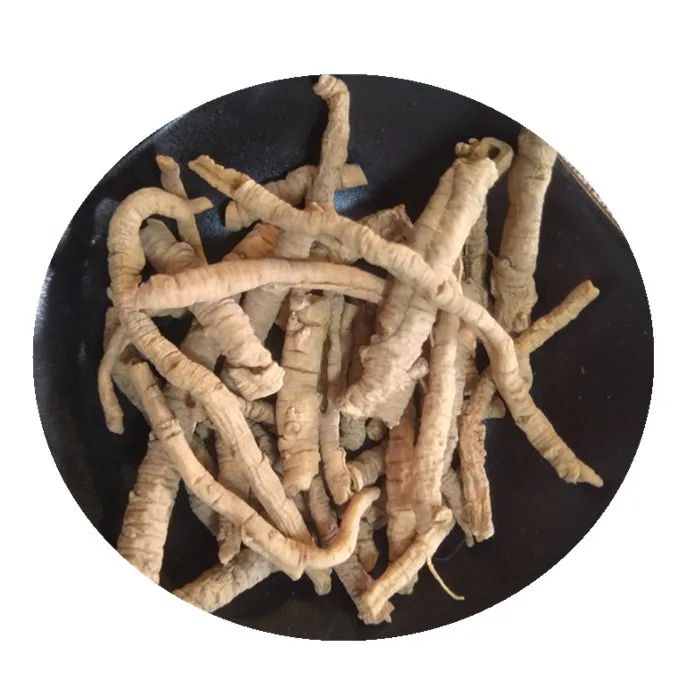 
Yuan zhi Chinese supplier natural dry polygalae radix polygalae for sale 