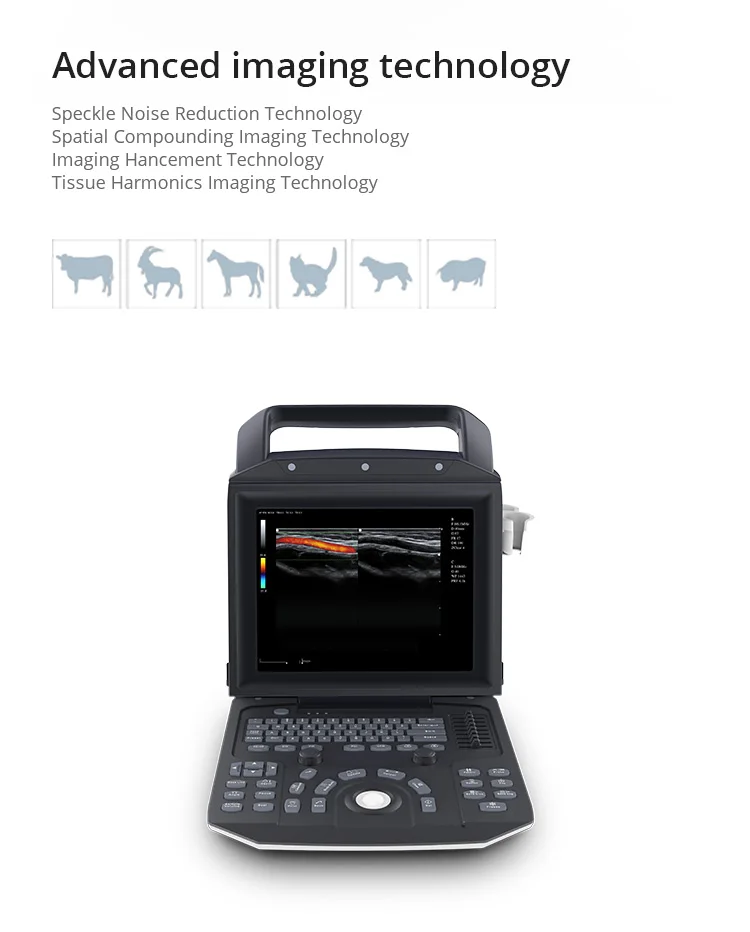 Veterinary  Hospital Equipment Full Digital Color Doppler Ultrasound Imaging System ultrasound machine with color doppler
