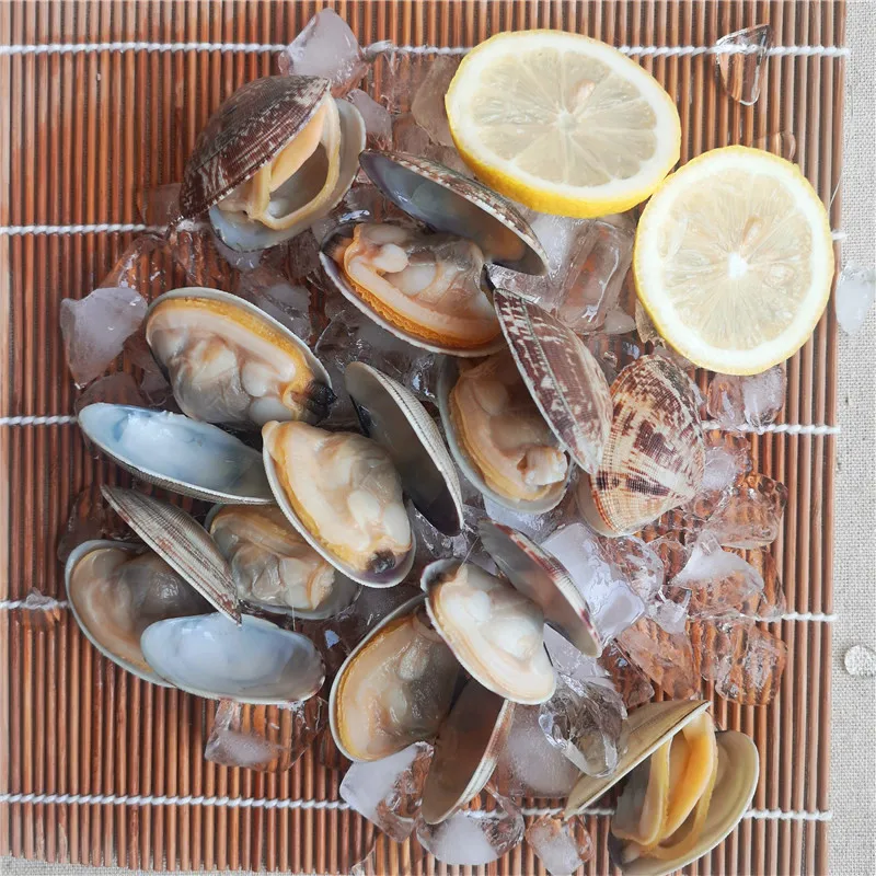 clam with shell (31).jpg