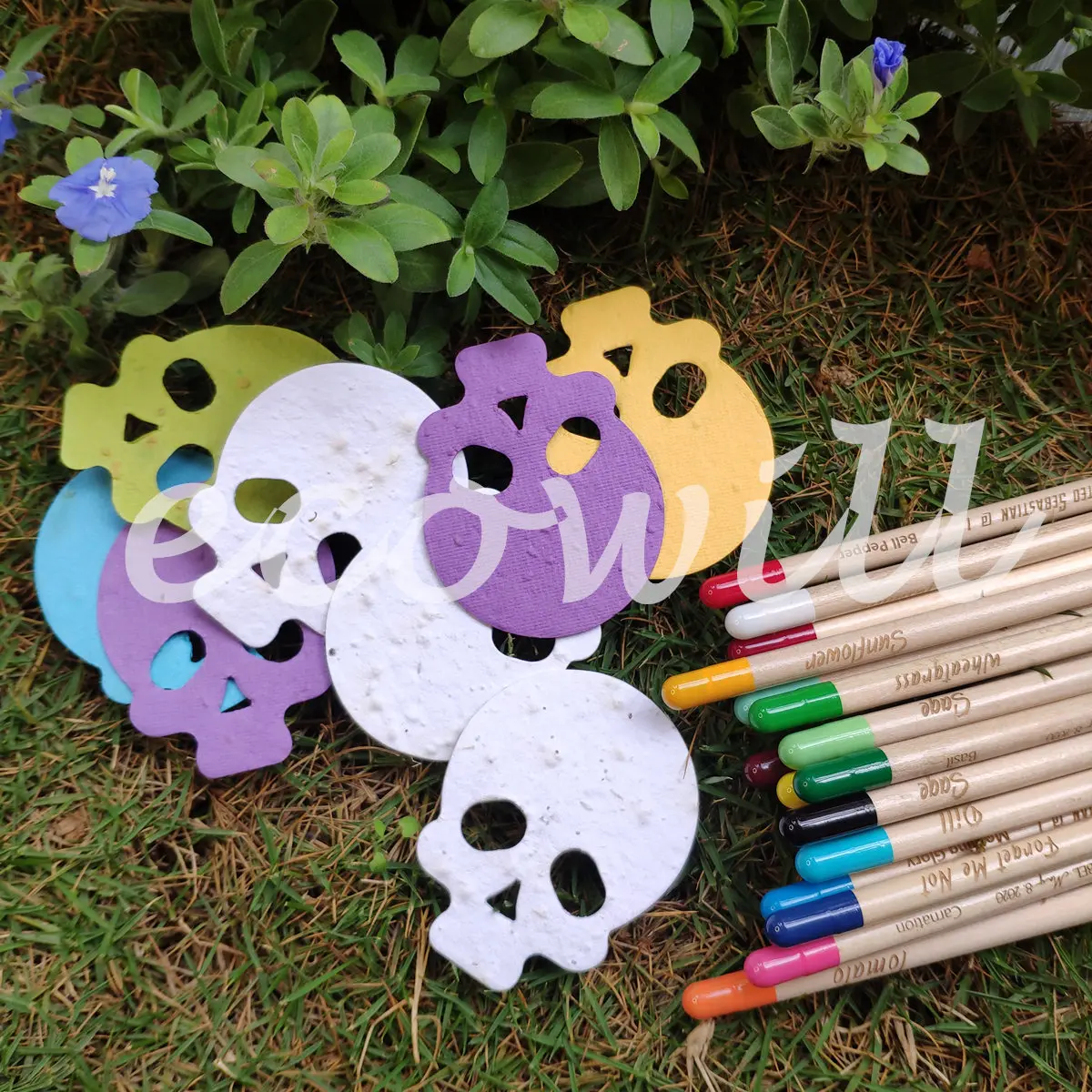 Ecowill травяные семена бумаги конфетти с растительными травами Семена овощей