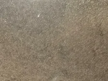 mealworms powder.png