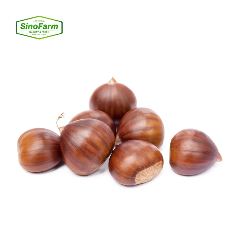 2021 новый урожай свежих каштановых орехов высокого качества по хорошей цене из Китая