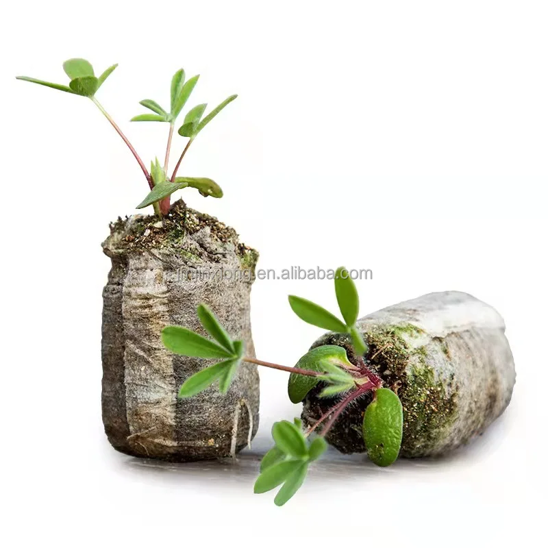 Compressed Seed Starter Germination Vegetables Fruits Soil Disks