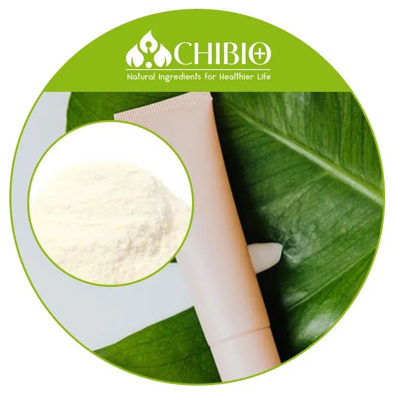 Factory Supply DDA 98% Mushroom Aspergillus Niger Fungal Chitosan Powder with ISO 9001 Kosher Certificates