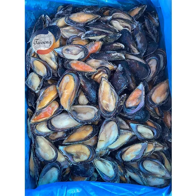 Frozen Green Mussels meat Whole