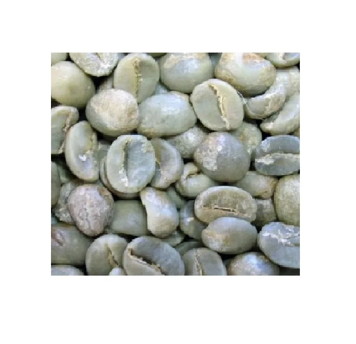 
high quality gold seller ethiopia bulk green coffee beans arabica 