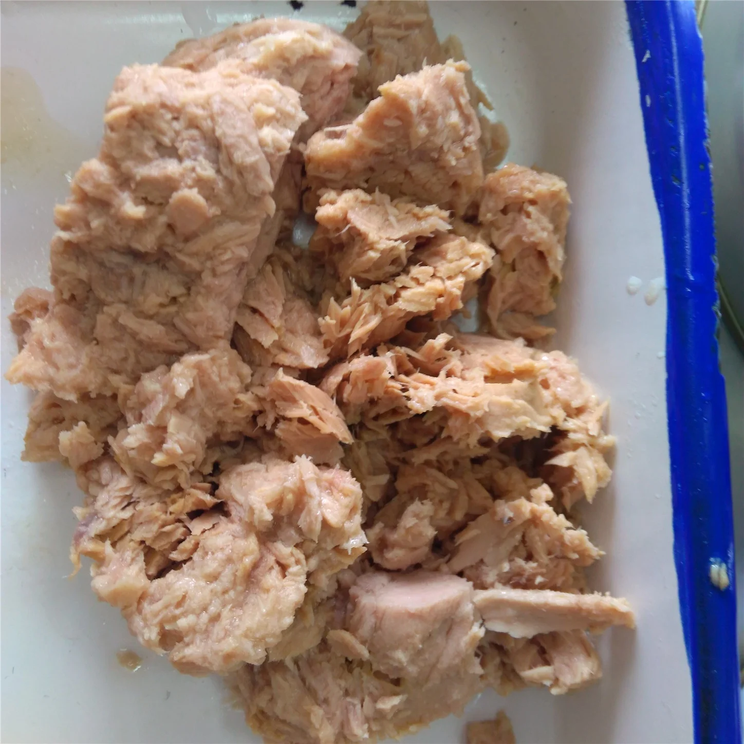 
Canned Skipjack Tuna From Chinese Fish Canning Factory 