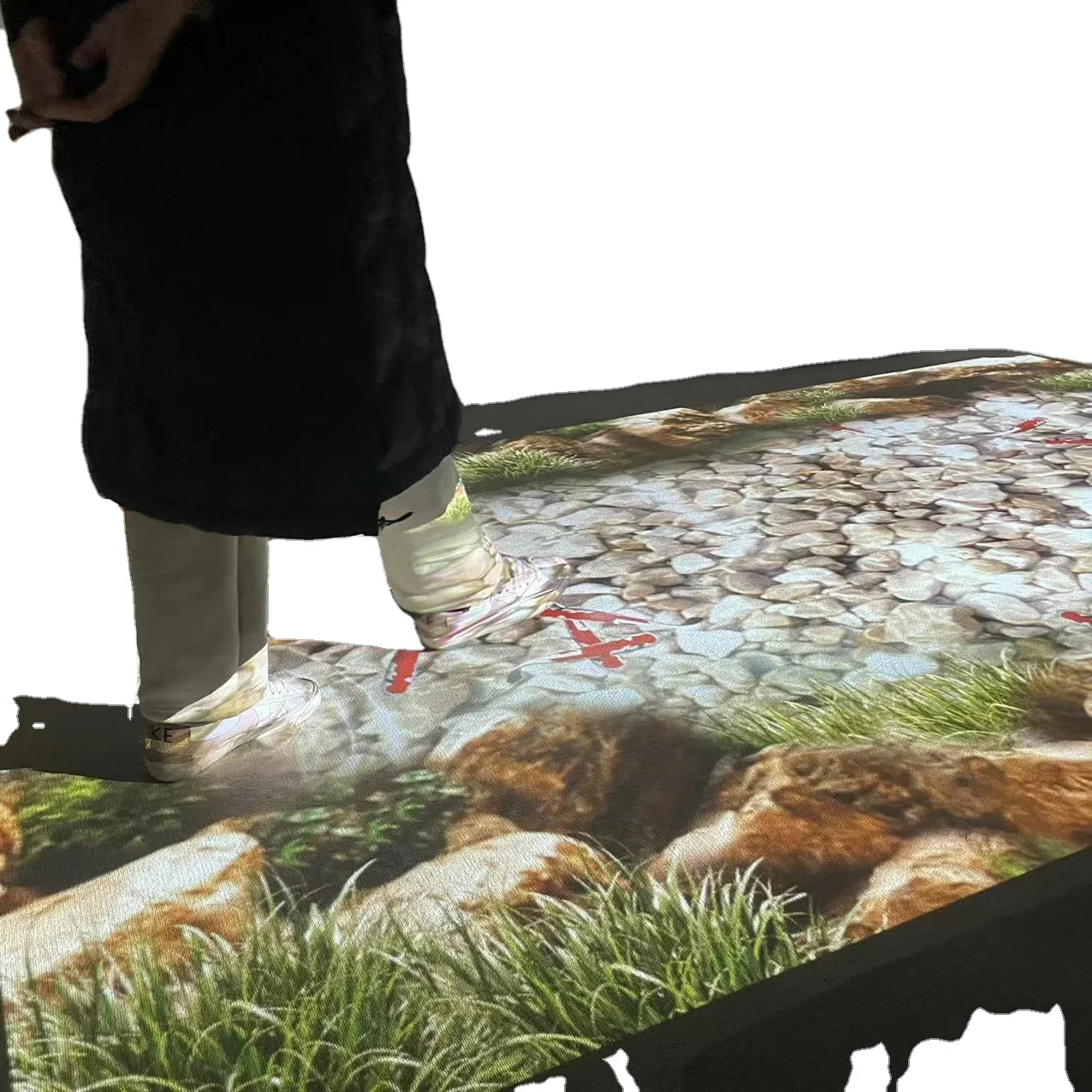 top sales  Floor/ground Software Download Link 90 High Resolution Interactive Effects