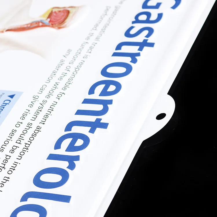 Customized 3D plastic Blister wall chart medical education wall chart 3D pvc poster